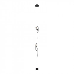 Подвесной светильник LOFT IT 10346/2 Black