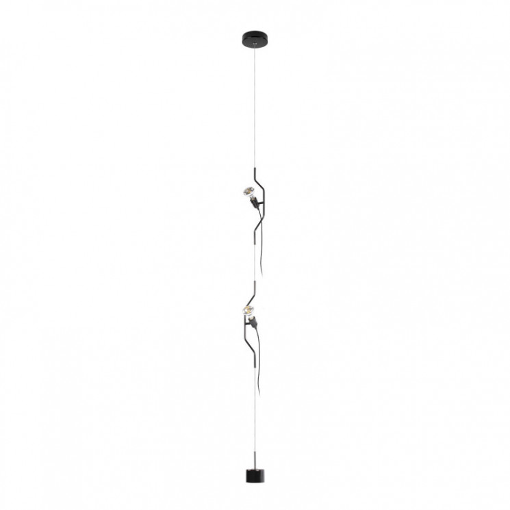 Подвесной светильник LOFT IT 10346/2 Black