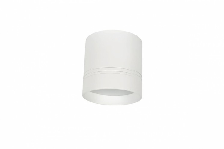 Cветильник Donolux DL18482/WW-White R