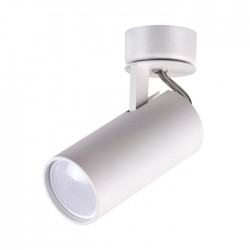 Потолочный светильник ODEON LIGHT 3873/1C CORSE