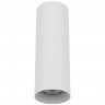 Светильник точечный накладной Rullo Lightstar 216496