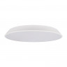 Потолочный светильник LOFT IT 10226 White Brim