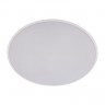 Потолочный светильник LOFT IT 10226 White Brim