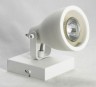 Светильник настенно-потолочный Lussole LSP-9822 FORT COLLINS
