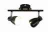 Светильник потолочный Arte lamp GIOVED A6008PL-2BK
