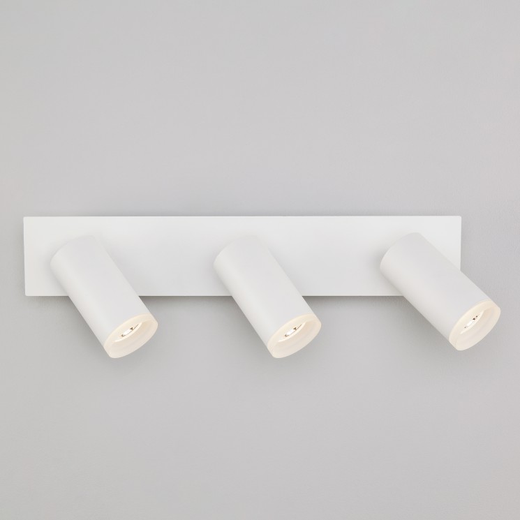 Настенный светильник Eurosvet 20067/3 белый Holly