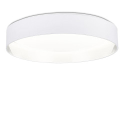 Накладной светильник Evoluce SLE300552-01 BRESCIA