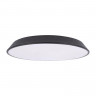Потолочный светильник LOFT IT 10226 Black Brim