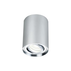 Потолочный светильник Maytoni C016CL-01S Alfa