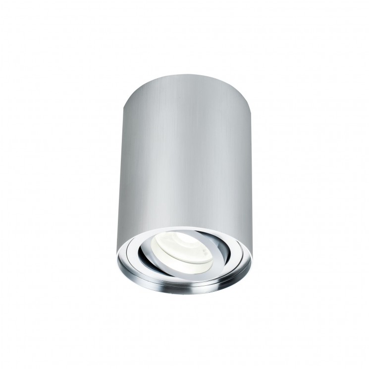 Потолочный светильник Maytoni C016CL-01S Alfa