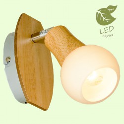 Спот Lussole GRLSP-0119 Chandler