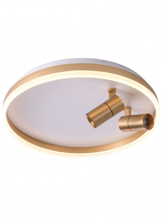 Светильник ZORTES RAIZY ZRS.1888.02