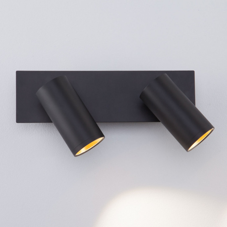 Спот Eurosvet 20066/2 LED черный/золото FLEUR