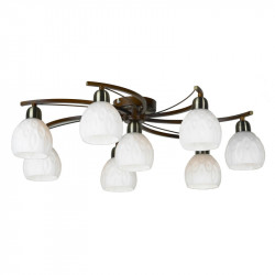 Накладная люстра Lussole LSP-0046 Kstall