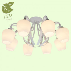 Накладная люстра Lussole GRLSP-9910 FAYETTEVILLE