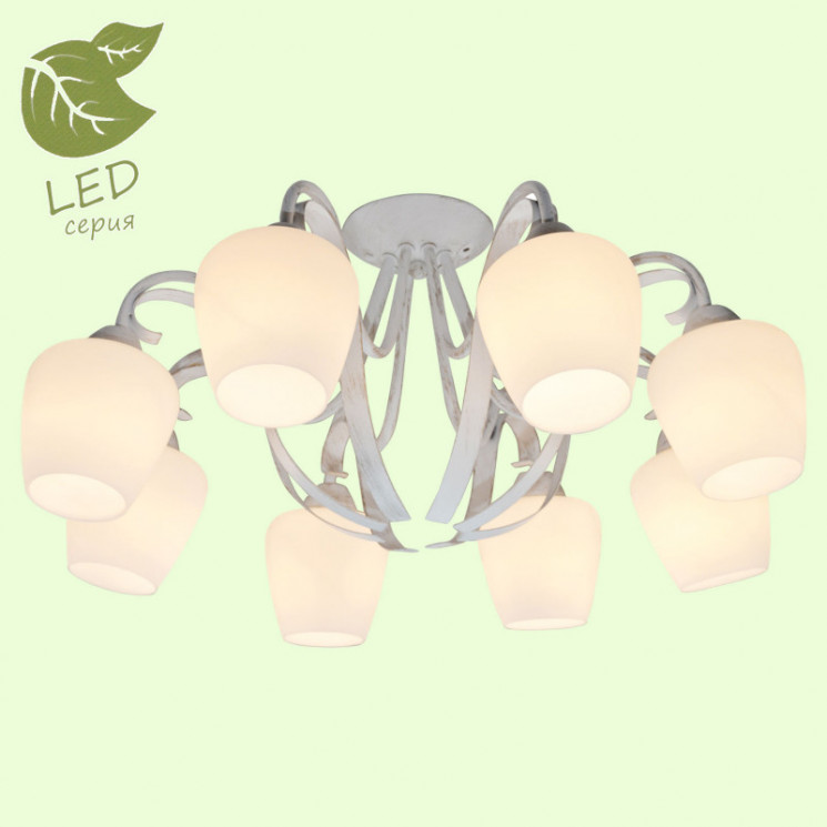 Накладная люстра Lussole GRLSP-9910 FAYETTEVILLE