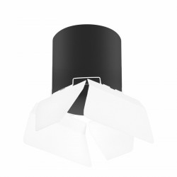 Накладной светильник Lightstar R3487486 RULLO