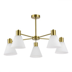 Светильник потолочный EVOLUCE ARKI SLE1561-302-05