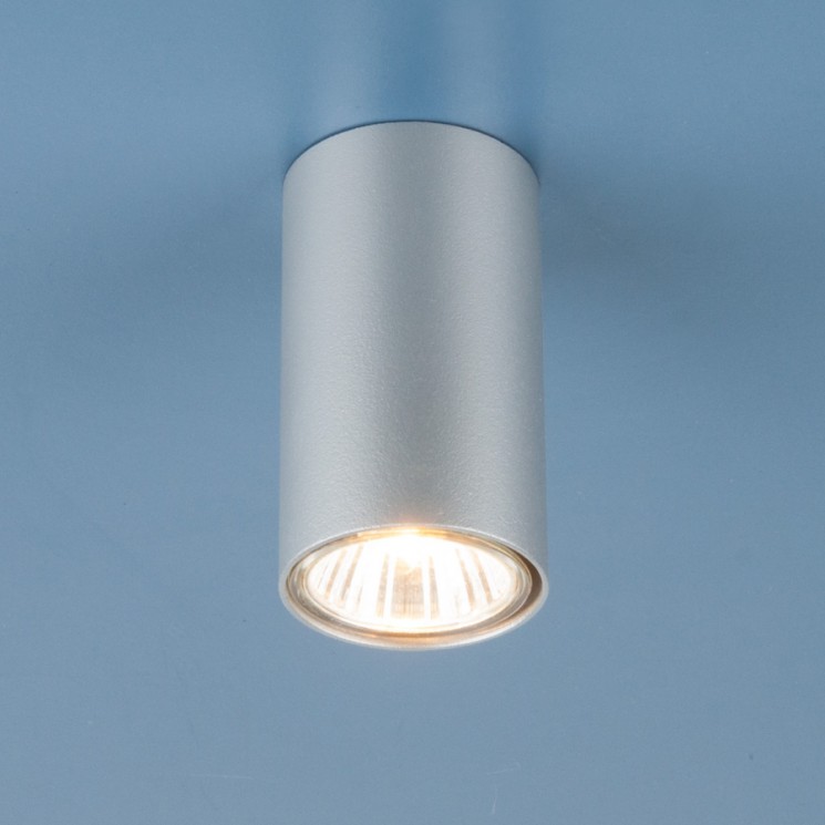 Накладной светильник Elektrostandard 1081 GU10 SL серебро (5257)