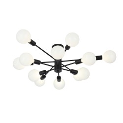 Люстра потолочная  ST Luce ANO SL419.402.12