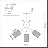 Люстра потолочная Lumion 4492/3C FERN