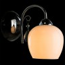 Светильник настенный Arte lamp MILLO A9548AP-1CC