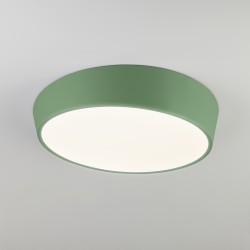 Потолочный светильник Eurosvet 90113/1 зеленый Visual