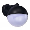 Светильник настенный ST-Luce SL9000.401.01 OMBRA