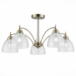 Люстра потолочная Evoluce NUELE SLE104402-05