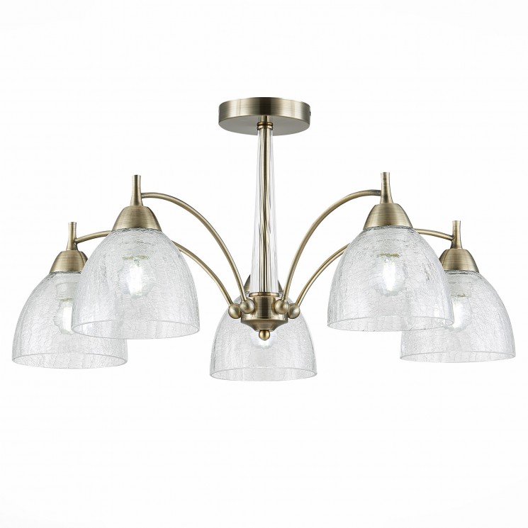 Люстра потолочная Evoluce NUELE SLE104402-05