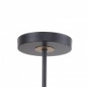Люстра на штанге F-Promo 2844-8P Rigor