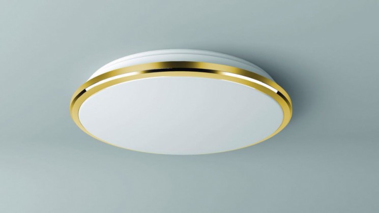 Светильник настенно-потолочный Citilux CL702162W Луна ip54