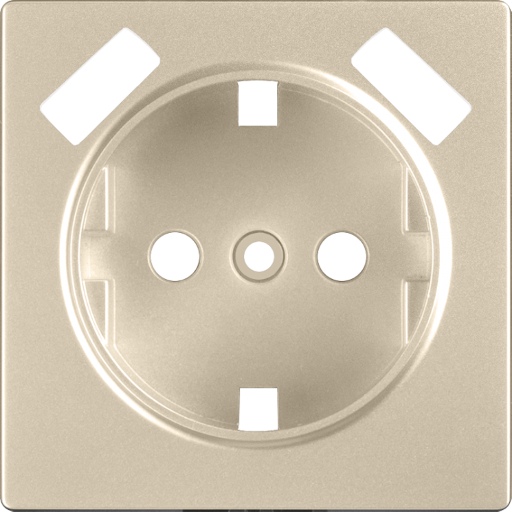 Накладка для USB розетки шампань Werkel W1179511 (WL11-USB-CP)