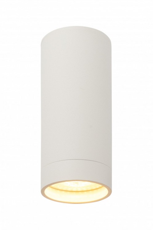 Накладной светильник Denkirs DK2051-WH