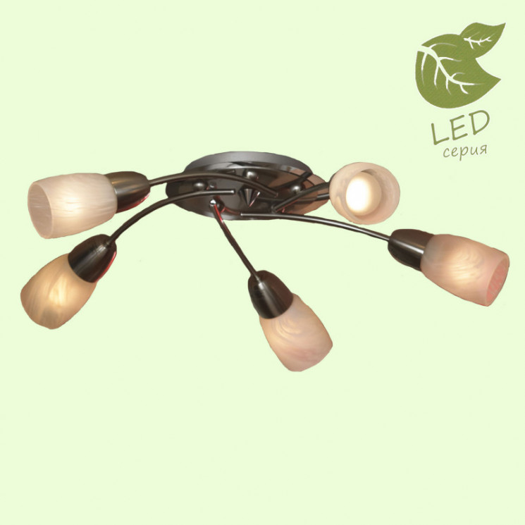 Накладная люстра Lussole GRLSQ-6907-05 Cevedale