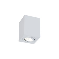 Потолочный светильник Maytoni C017CL-01W Alfa