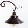 Светильник потолочный Arte lamp GRAZIOSO A4577PL-3CK