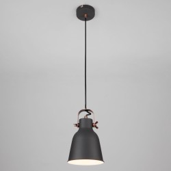 Подвесной светильник Eurosvet 50083/1 черный Projector