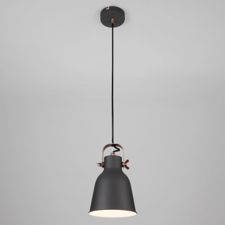 Подвесной светильник Eurosvet 50083/1 черный Projector