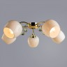 Накладная люстра ARTE Lamp A9549PL-5GO MILLO