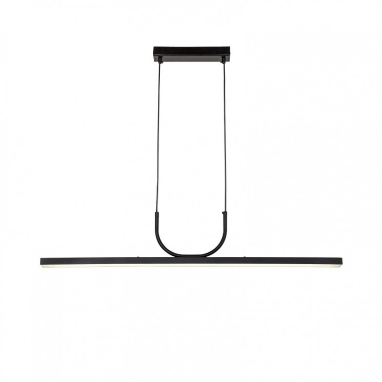 Подвесной светильник Favourite 4096-1P RAYA