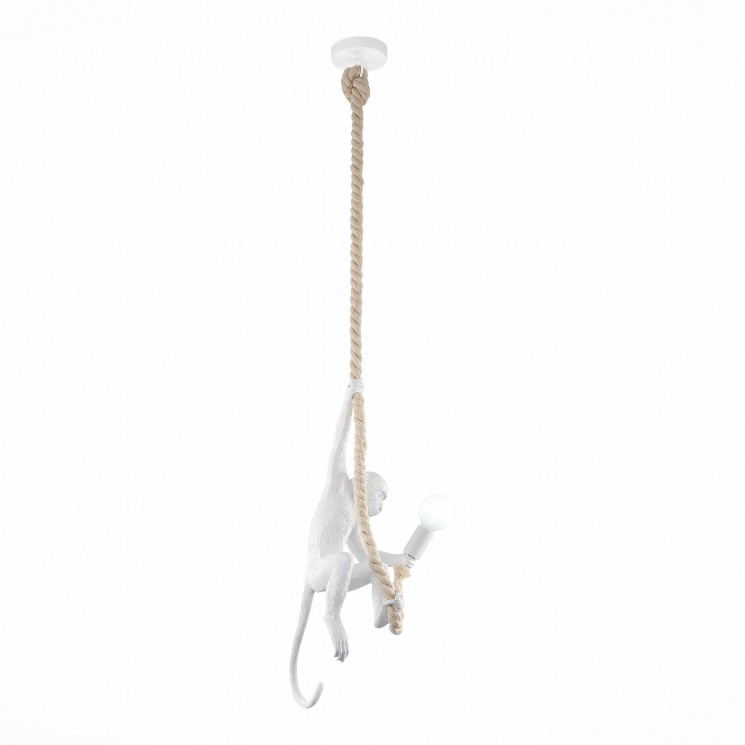 Светильник подвесной Evoluce SLE115103-01 TENATO