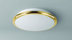 Светильник настенно-потолочный Citilux CL702222W Луна ip54