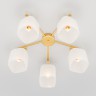 Потолочный светильник Eurosvet Camila 30143/5 латунь