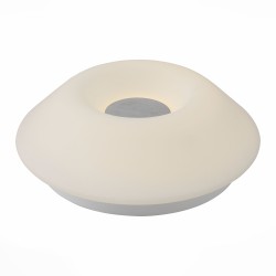 Светильник настенно-потолочный ST-Luce SL557.502.01