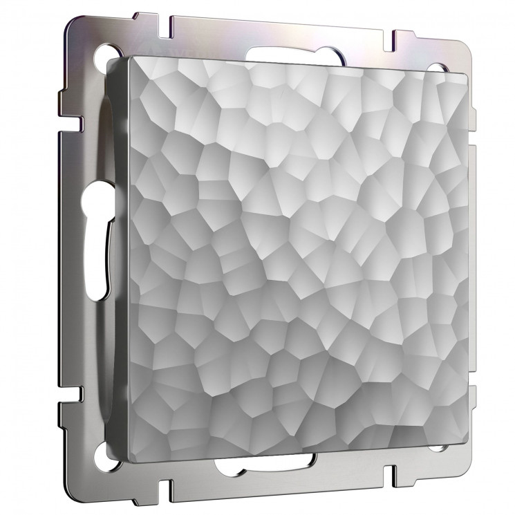 Заглушка (серебряный) W1259206 Werkel