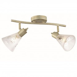 Потолочный светильник Favourite 1794-2U Gumbata