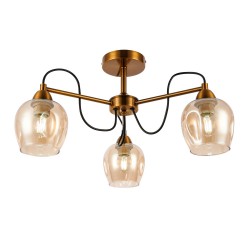 Светильник потолочный Evoluce ACRO SLE110002-03