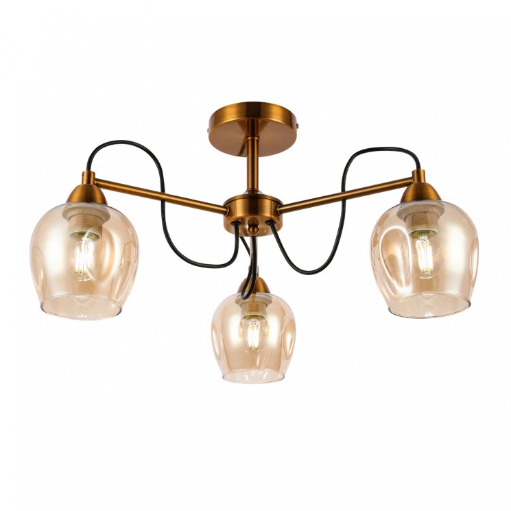 Светильник потолочный Evoluce ACRO SLE110002-03