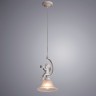 Светильник подвесной Arte lamp AMUR A1133SP-1WG